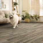 Harrison 2164 - Image 6