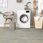 Angelfish 2190 - Image 5