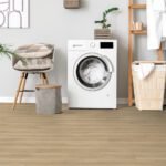 Damselfish 2193 - Image 5