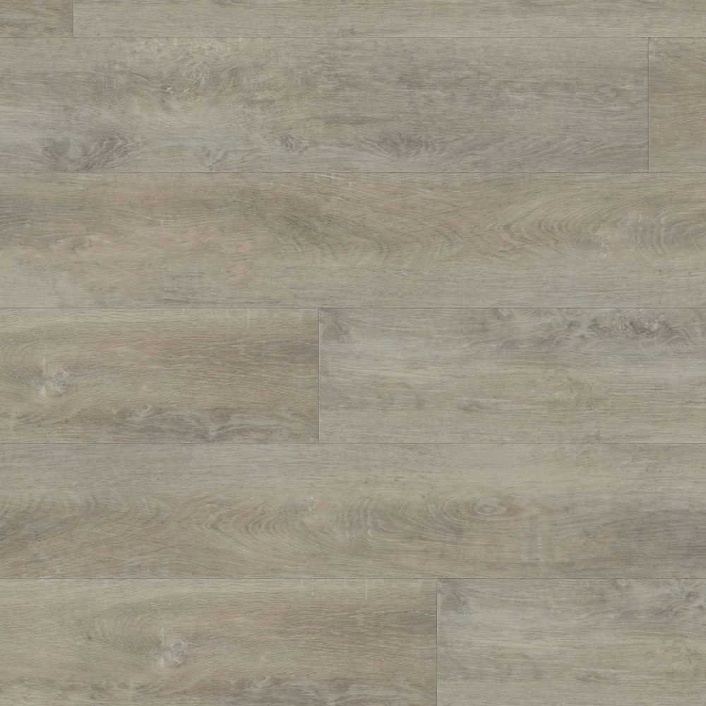 6036.jpg Macadamia 6036 - Image 1