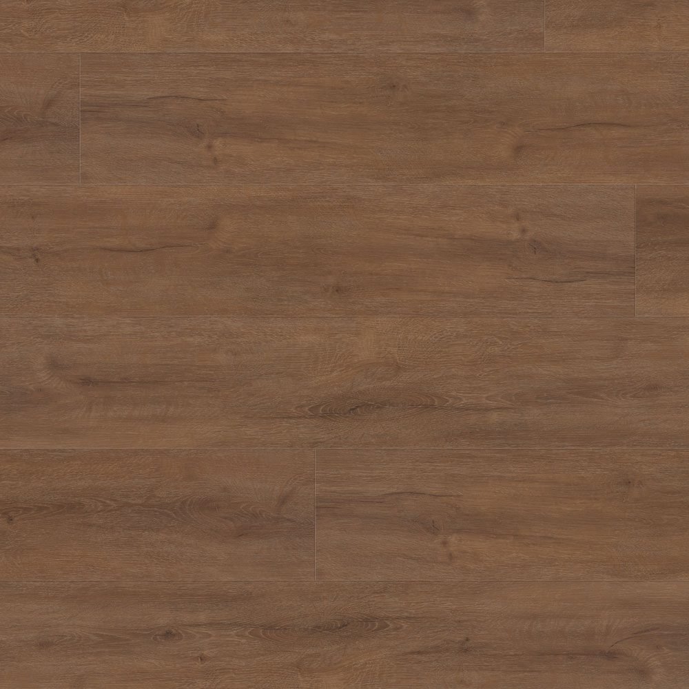 6041.jpg Hazelnut 6041 - Image 1