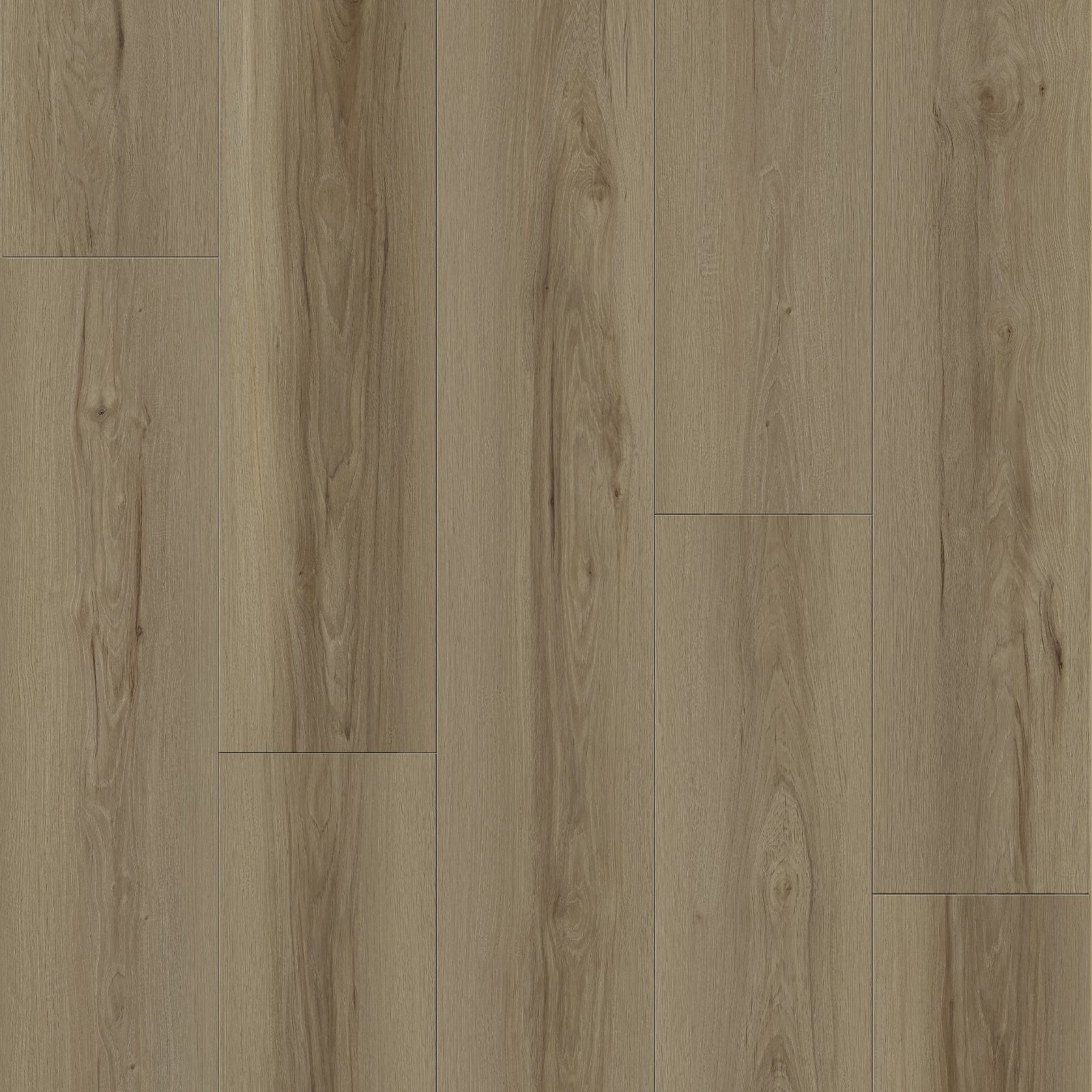 MS7503-layout.jpg MS7503 Dolly - Image 1