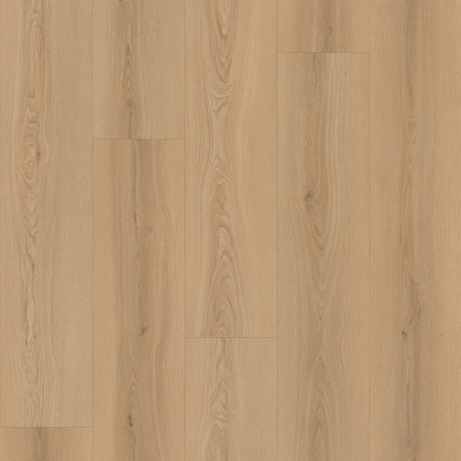 MS7508-layout.jpg MS7508 Kingston - Image 1