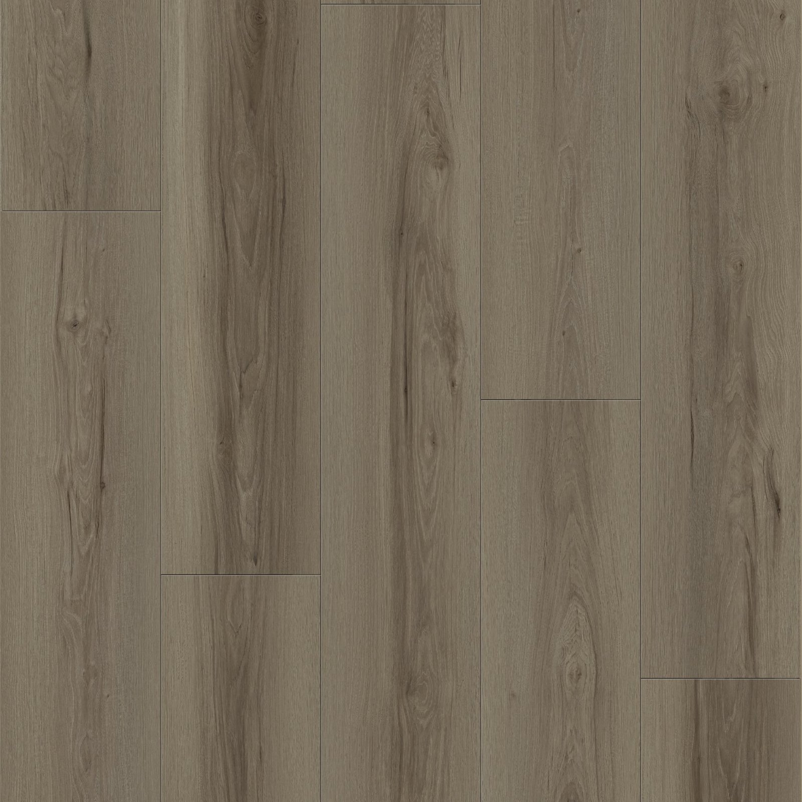 MS7511-Layout.jpg MS7511 Pavard - Image 1