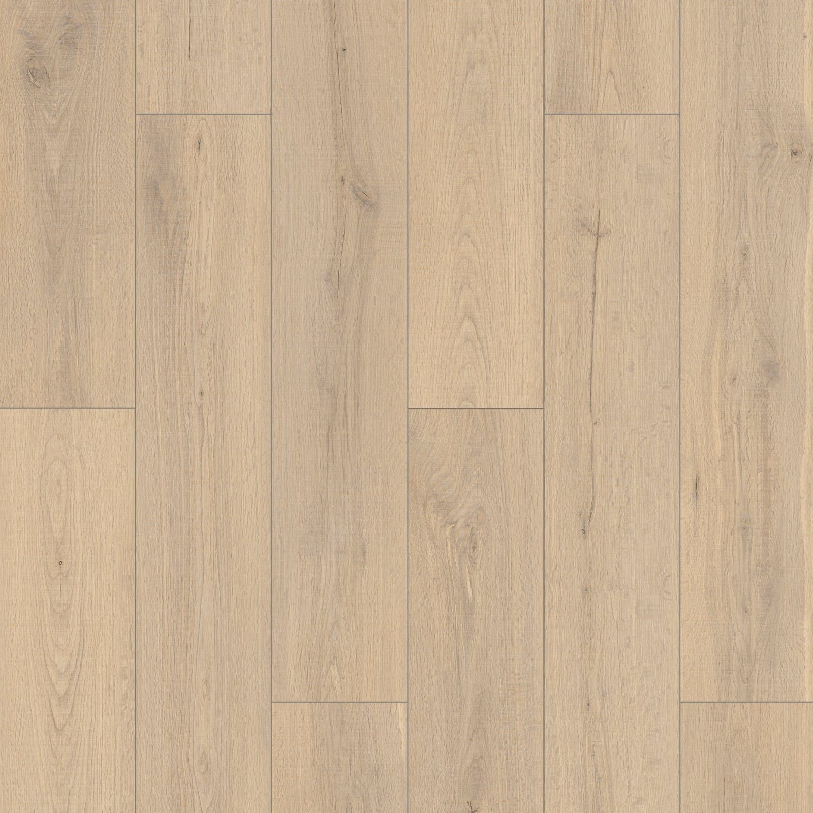 MS7517-layout.jpg MS7517 Teddy - Image 1