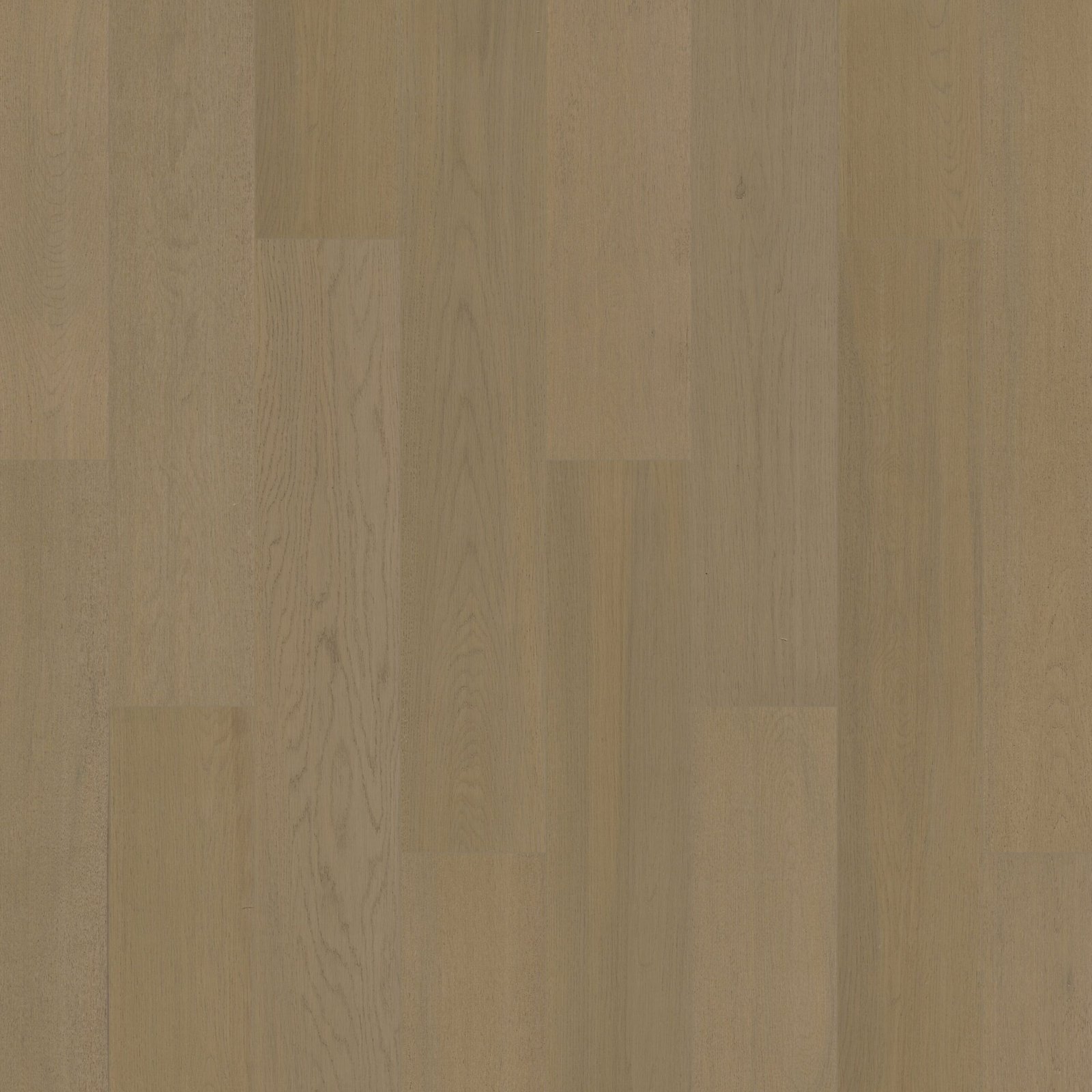 Oakel-City-Naked-Oak.jpg Naked Oak 6″ - Image 1