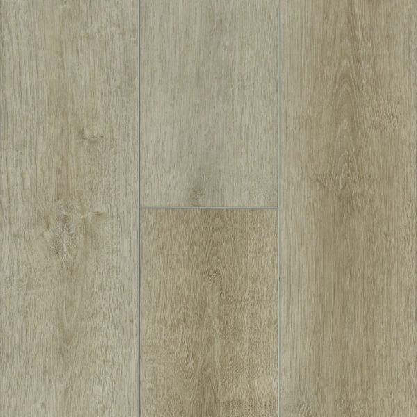 Oak Rigid Core Everguard Trending Botanical Tan 7.1" RKEG70L01E