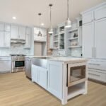 Damselfish 2193 - Image 2