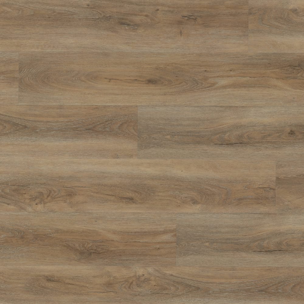 Thumb_Hires-1-9.jpg Remora 2195 - Image 1