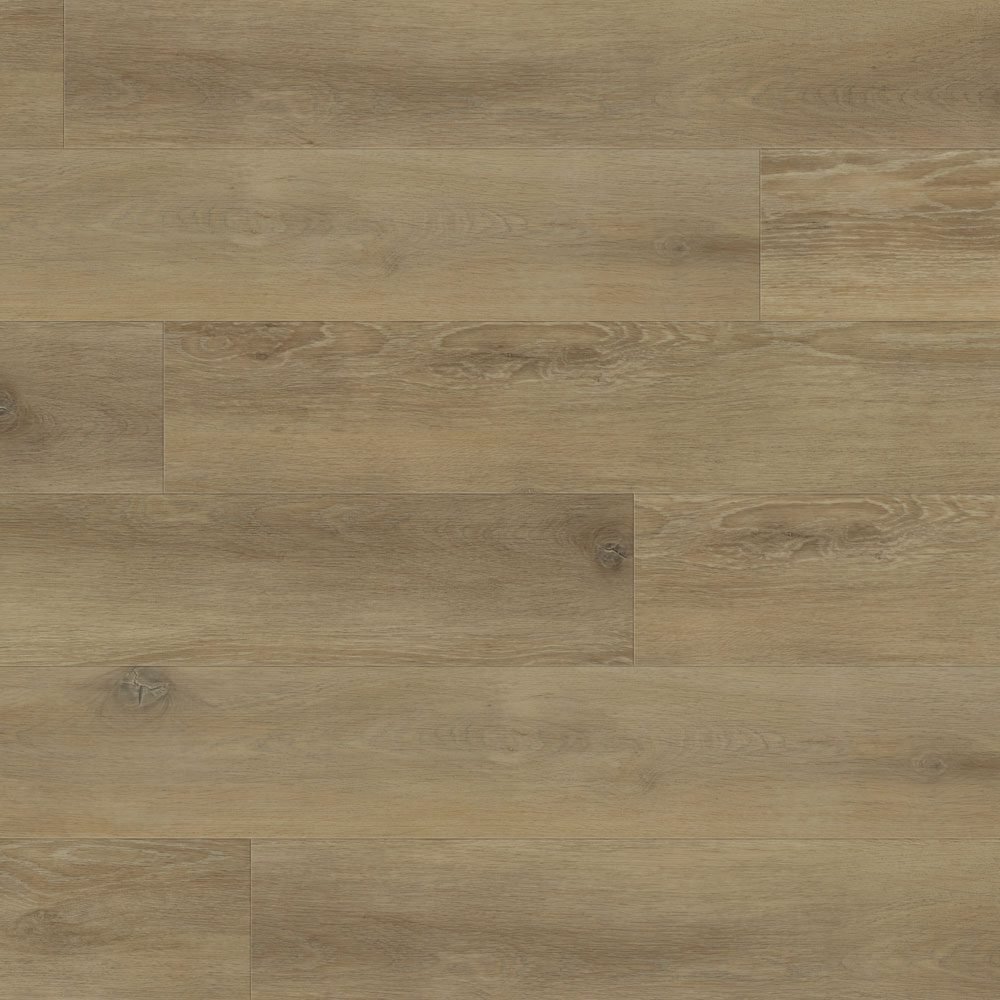 Thumb_Hires-2253.jpg Vittoria 2253 - Image 1