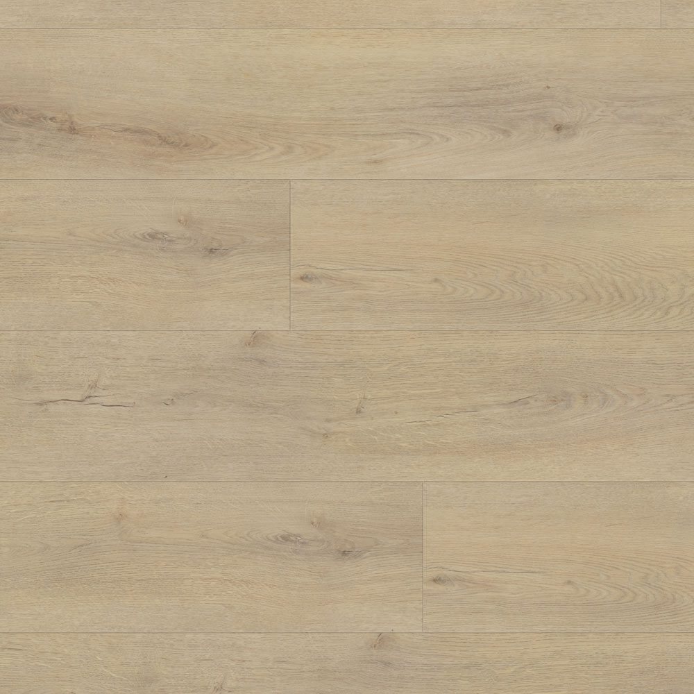 Thumb_Hires-6051.jpg Gingko 6051 - Image 1