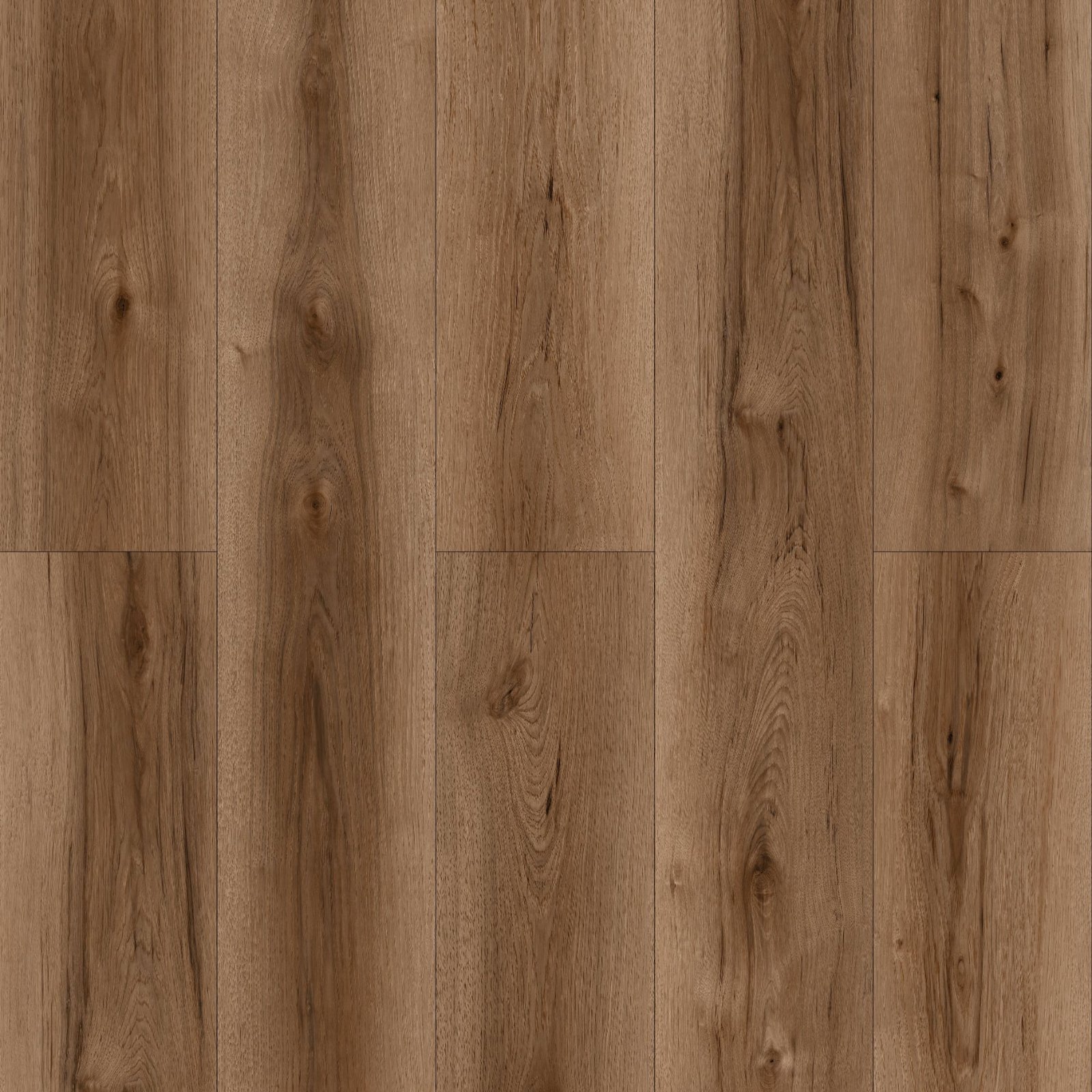 oakel-monica-MS7506-Layout.jpg MS7506 Monica - Image 1