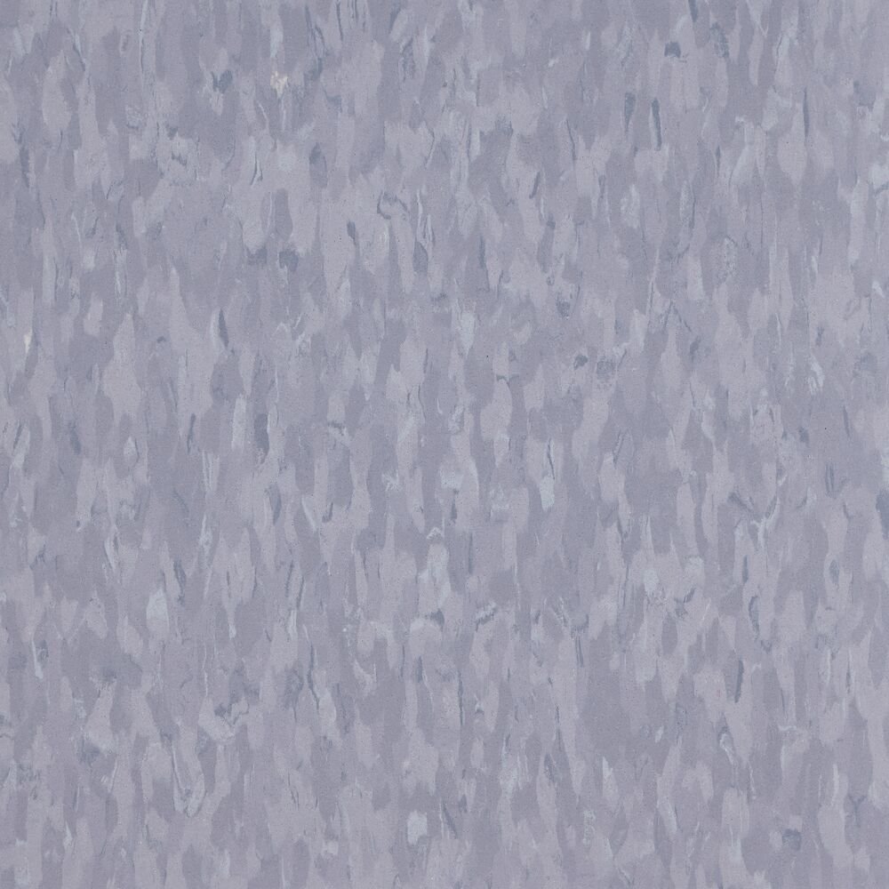 51881_Blueberry.jpg Blueberry - Image 1