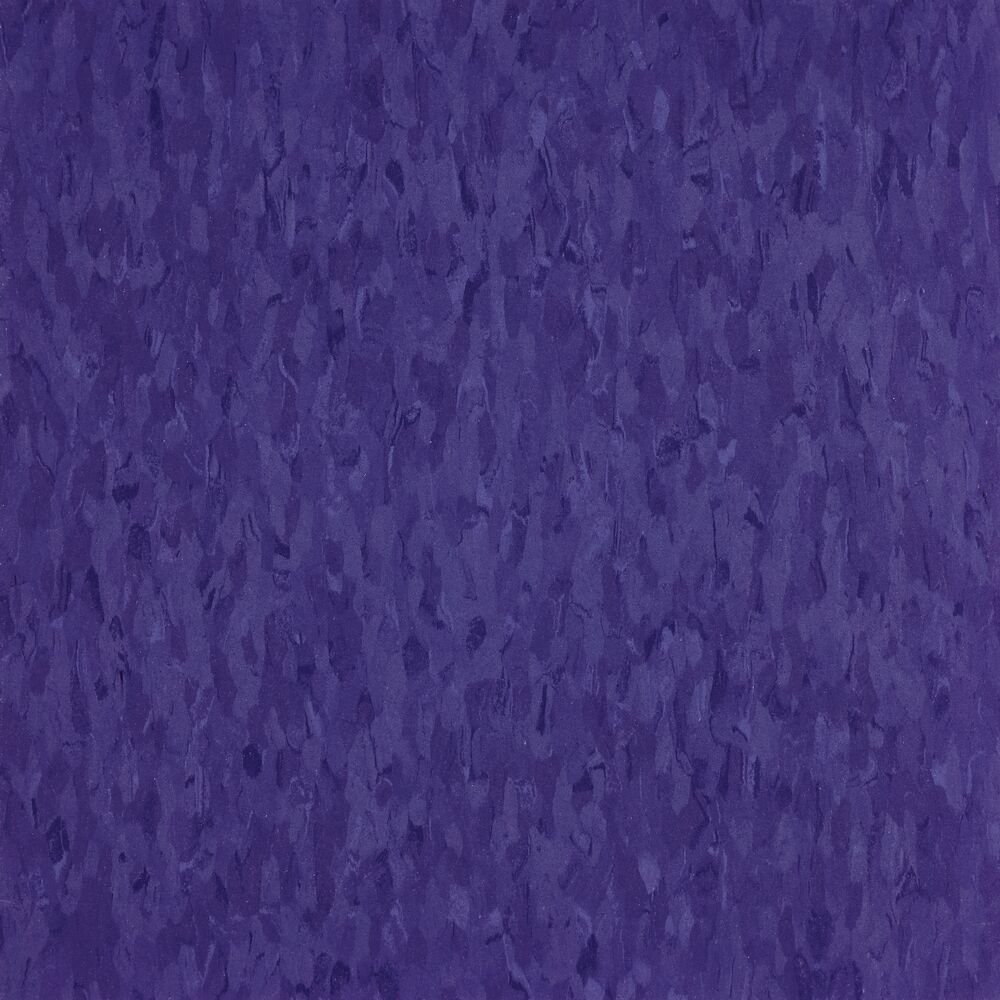 57533_TigerEyes.jpg Tiger Eyes - Image 1