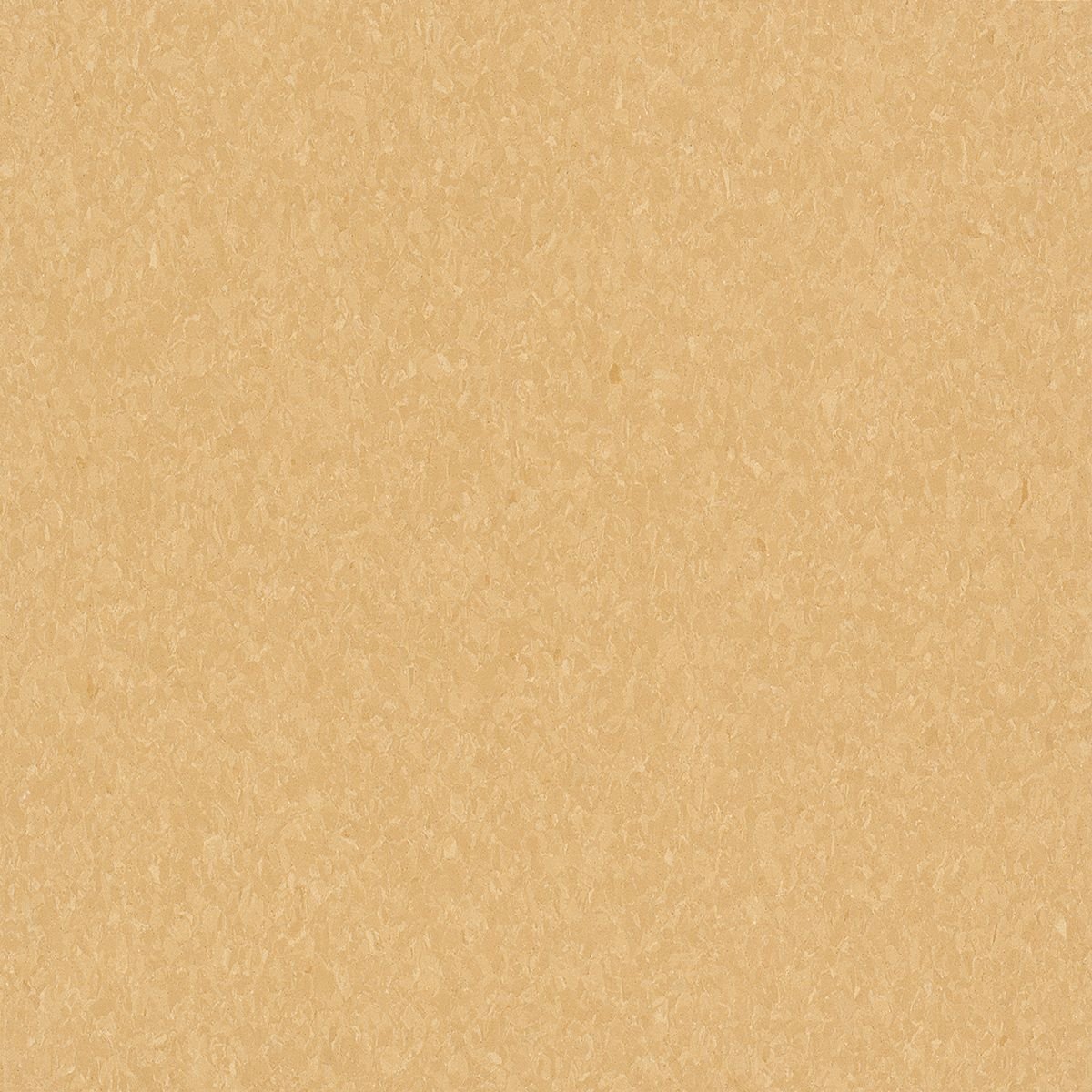 5C878_2.jpg Golden - Image 1