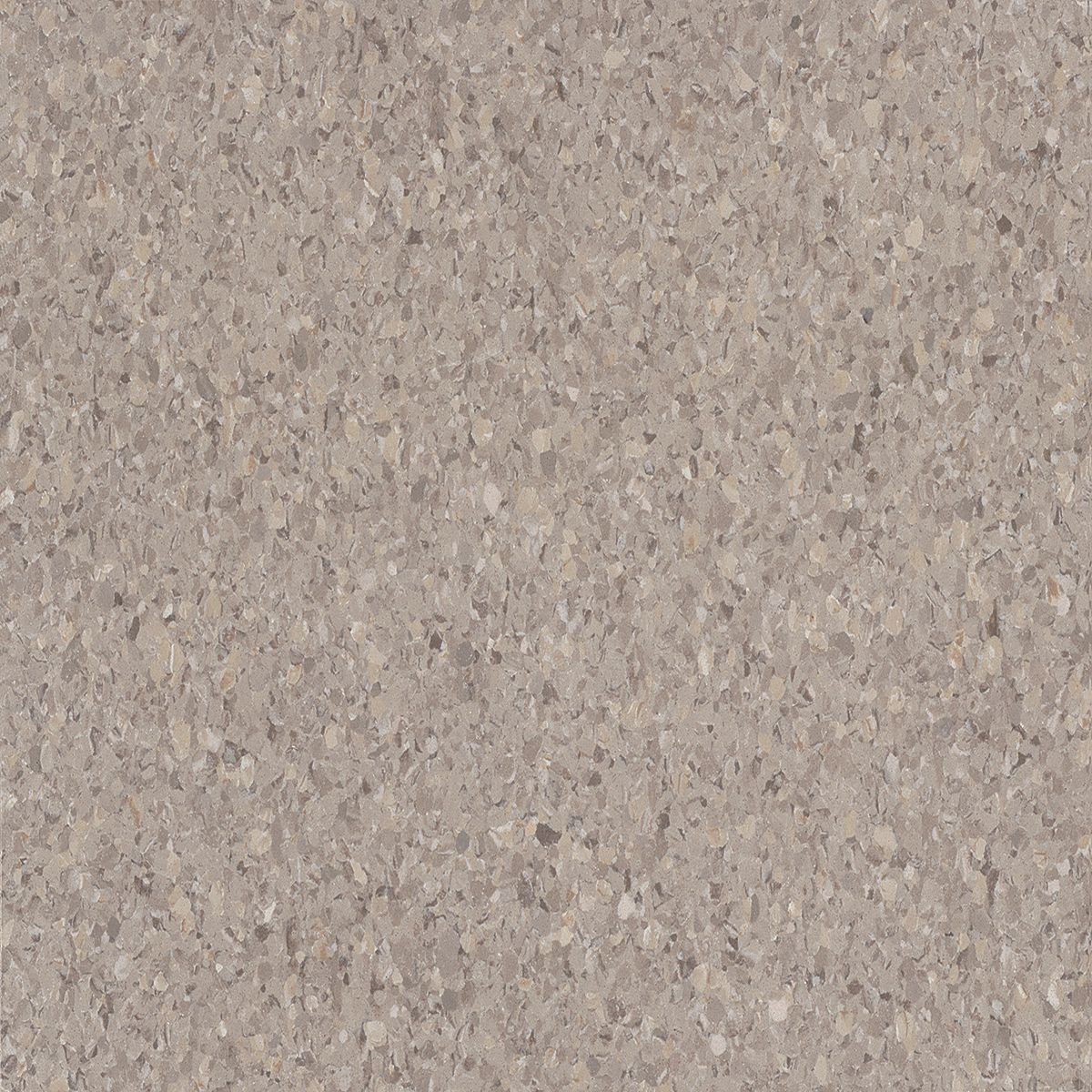 5C901_3.jpg Taupe - Image 1
