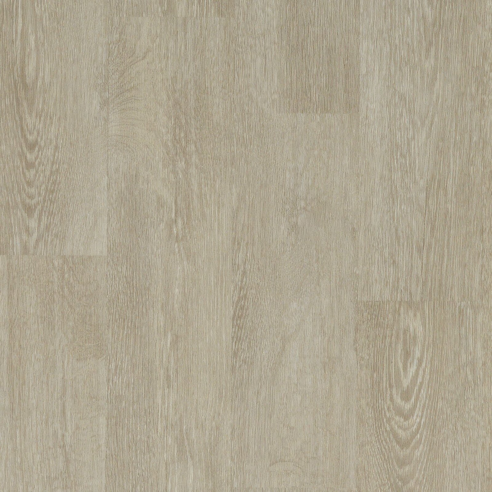 80872_Vetiver.jpg Vetiver​ - Image 1