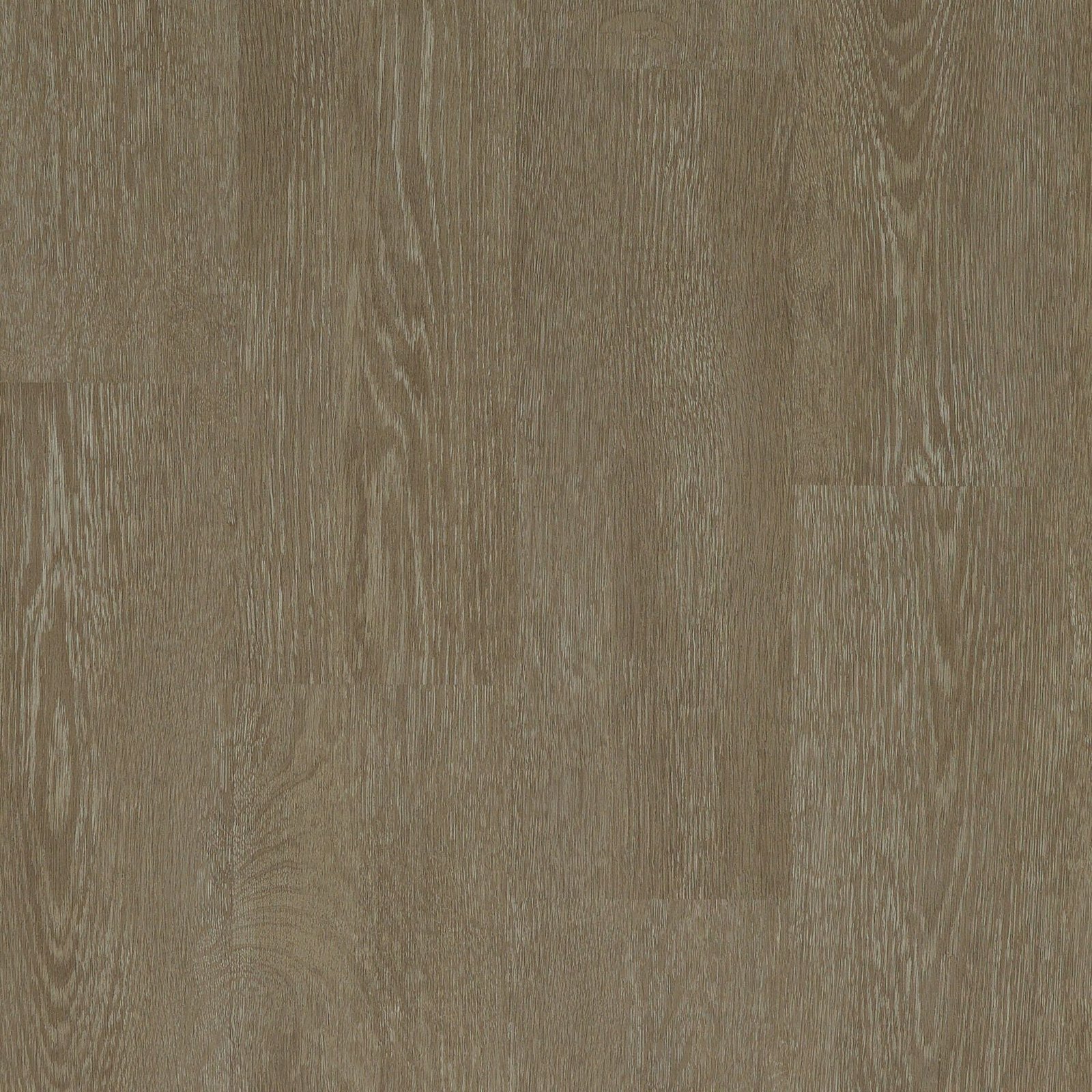 80876_Patchouli.jpg Patchouli - Image 1