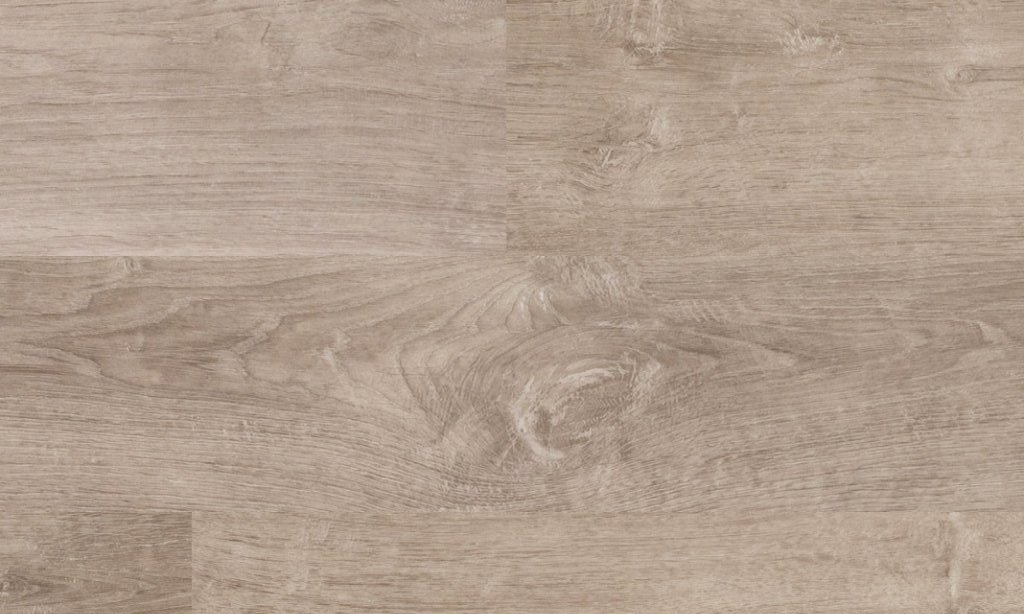 Asteroid.jpg Asteroid - Image 1