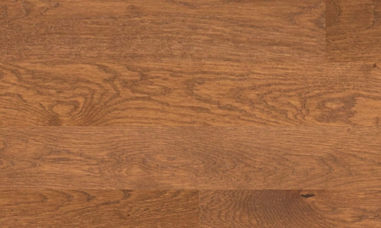 Caravan.jpg Caravan - Image 1