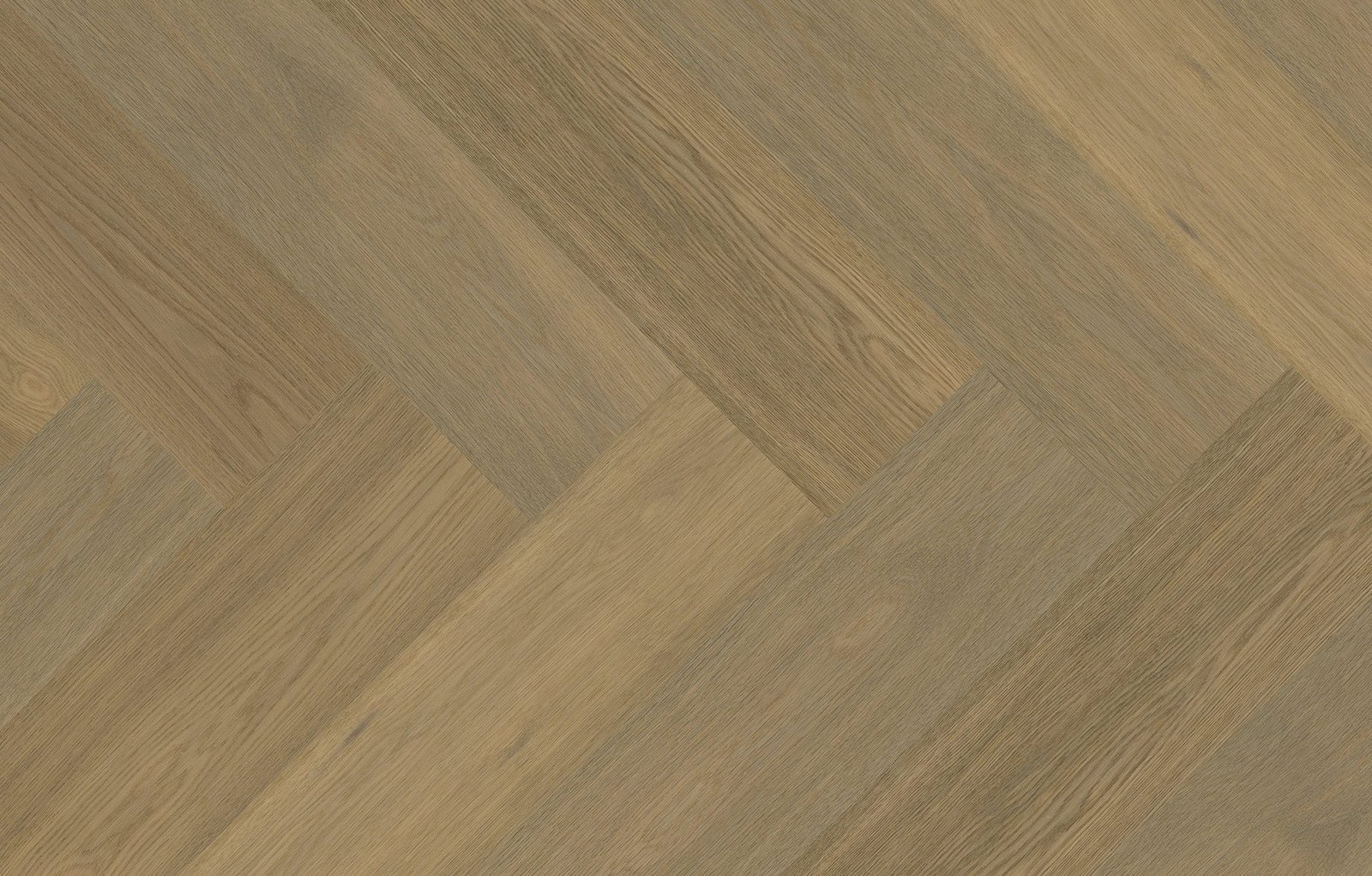 Chiffon20Vista-4.jpg Chiffon Vista - Image 1