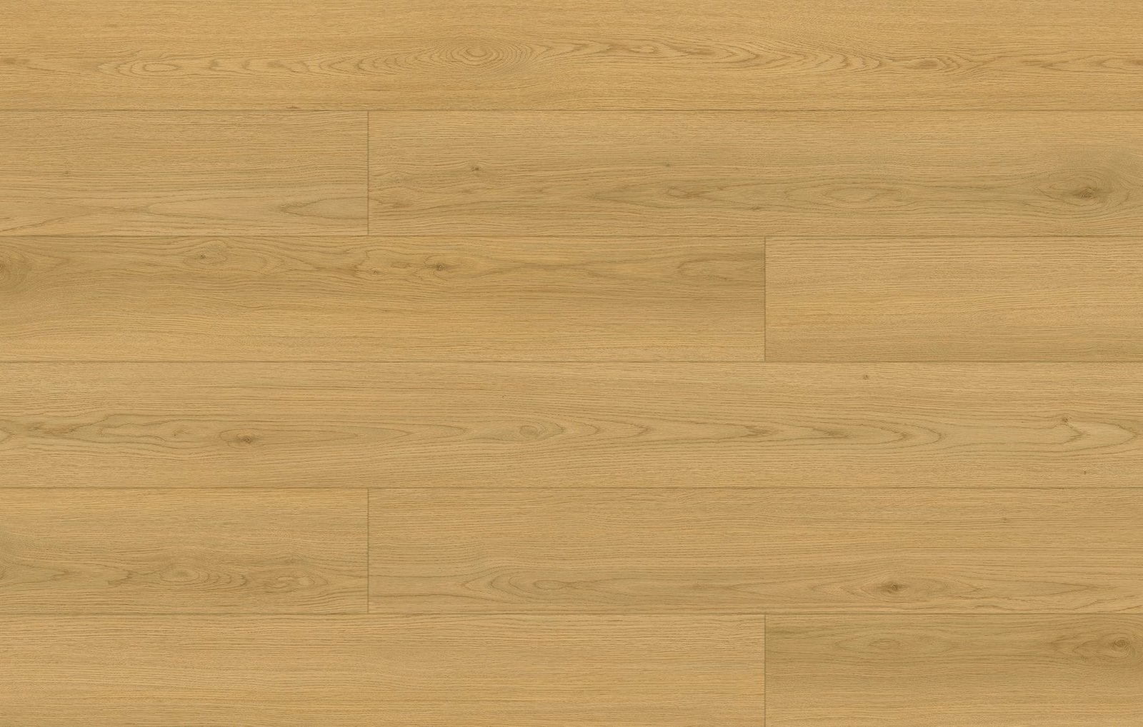 Clam20Shell20Oak.jpg Clam Shell Oak - Image 1