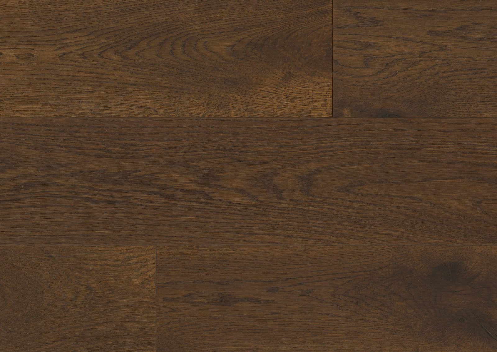 Coral20Haven-2.jpg Coral Haven - Image 1