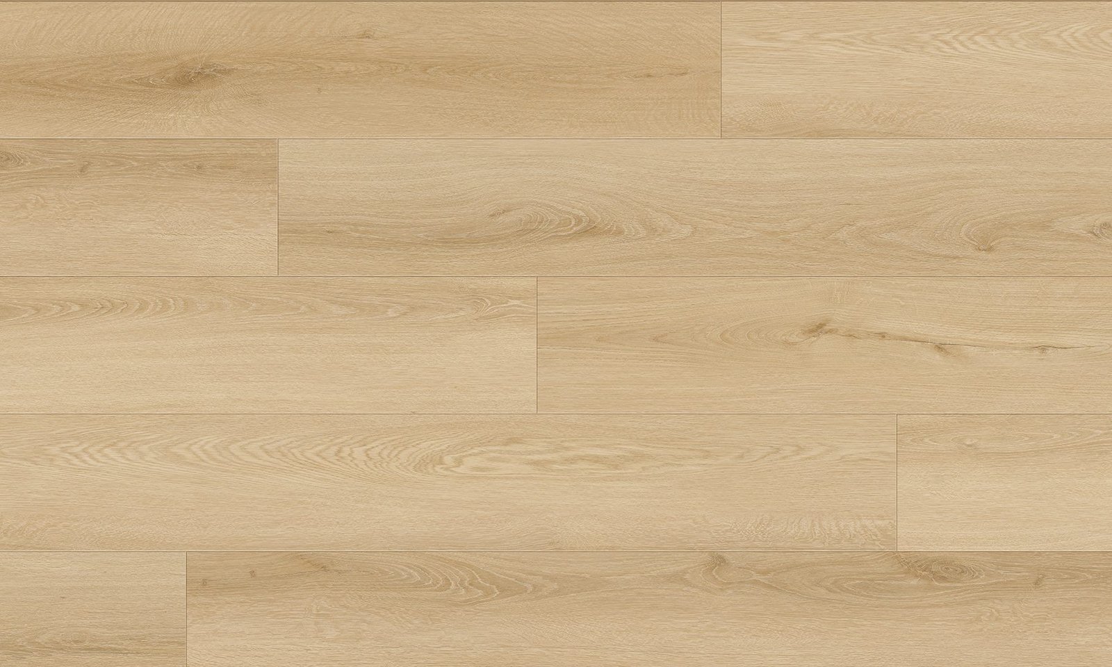 Fawn.jpg Fawn - Image 1