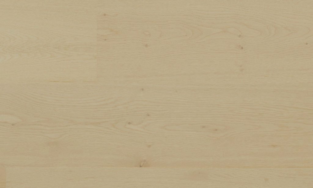 Felicity.jpg Felicity - Image 1