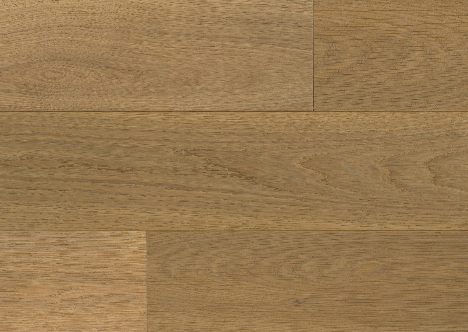 Gullwing-2.jpg Gullwing - Image 1