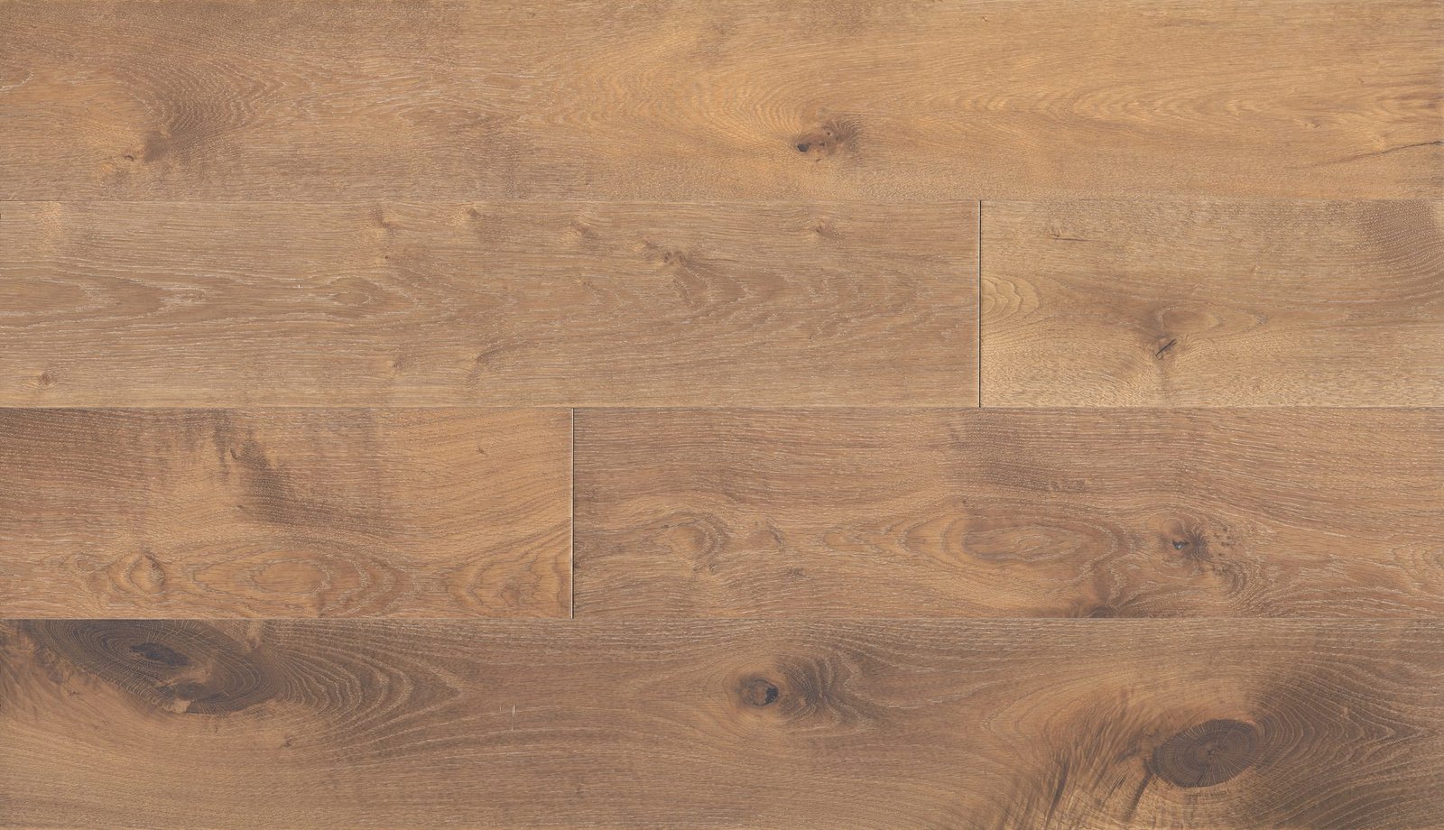 Gutenberg.jpg Gutenberg - Image 1