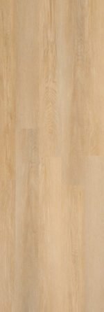 MUNICH DRYBACK (GLUE-DOWN) - Image 3