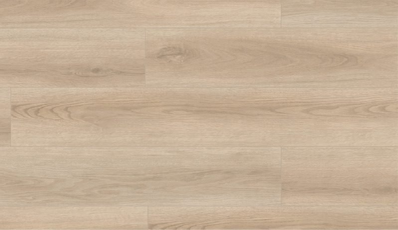 Medley.jpg Medley - Image 1