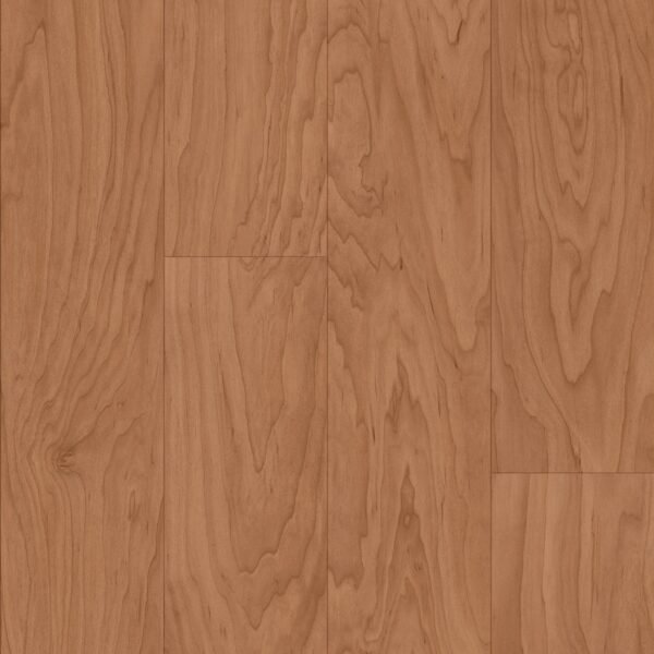 Solano Maple Sweet Sap