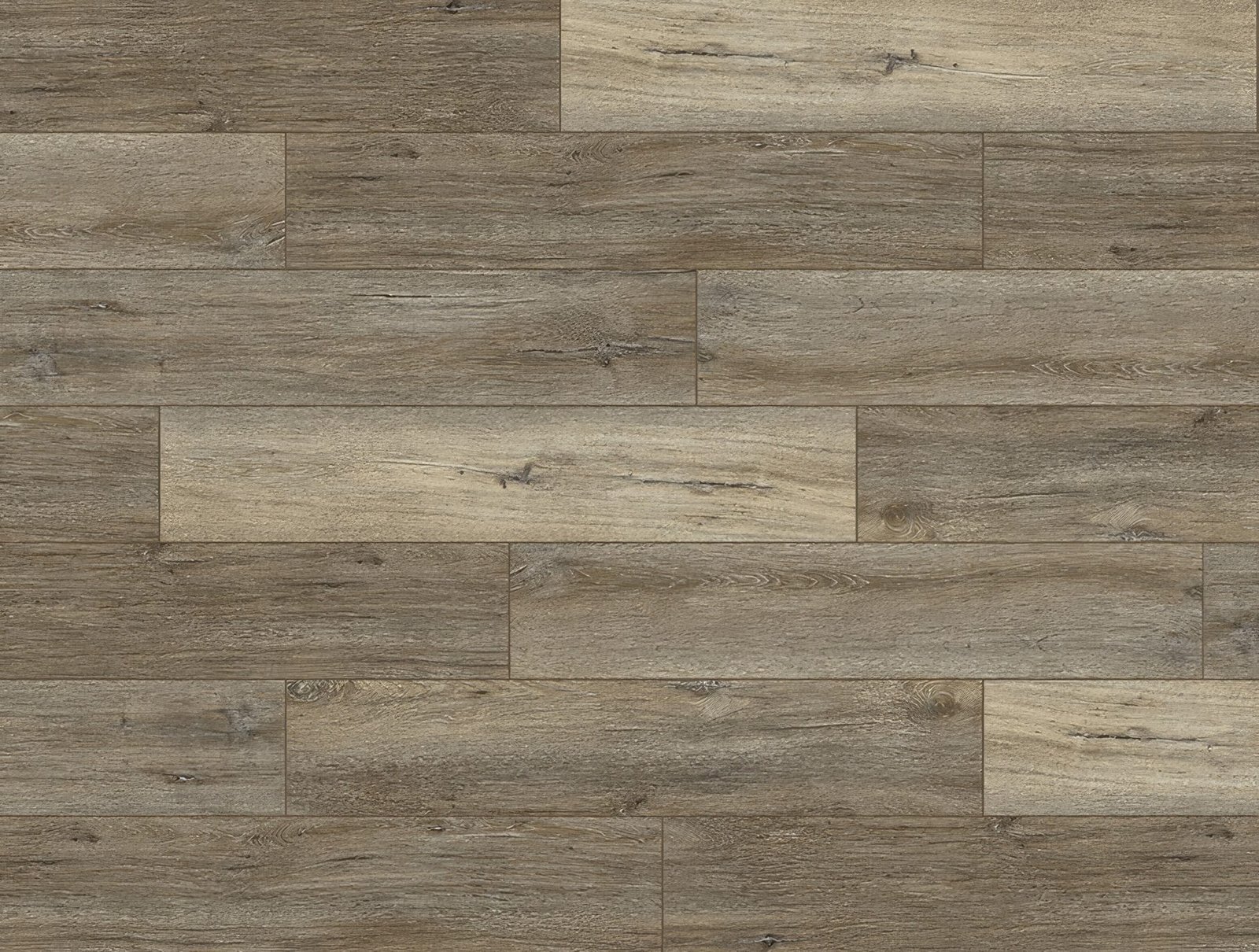 Relic.jpg Relic - Image 1