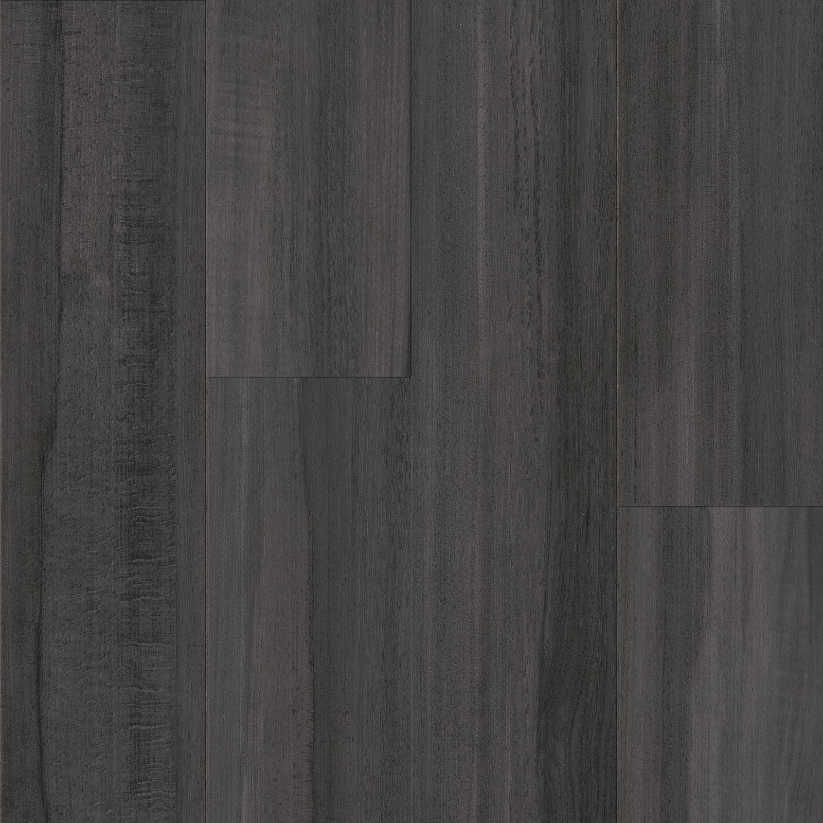 ST275_Large.jpg Selva understory - Image 1